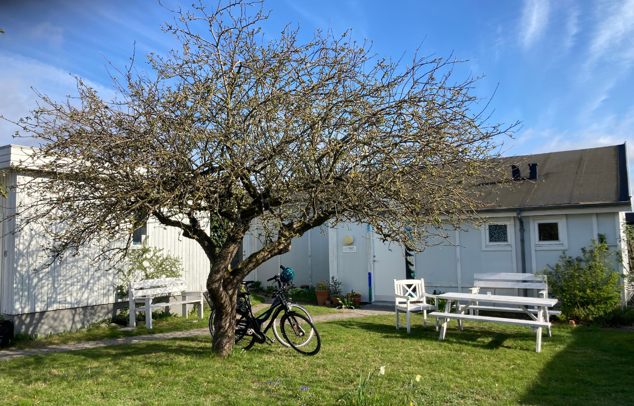 Headerbilleder Hjemmeside (2)